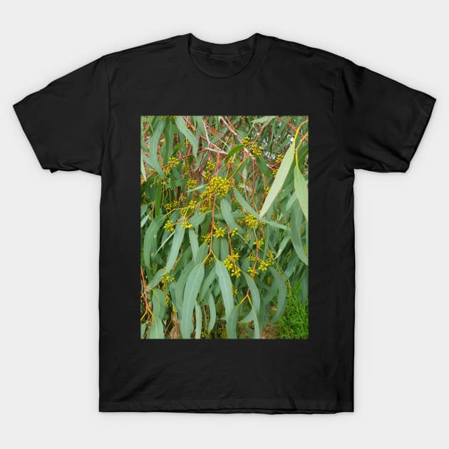 River Red Gum T-Shirt by claire-l-page